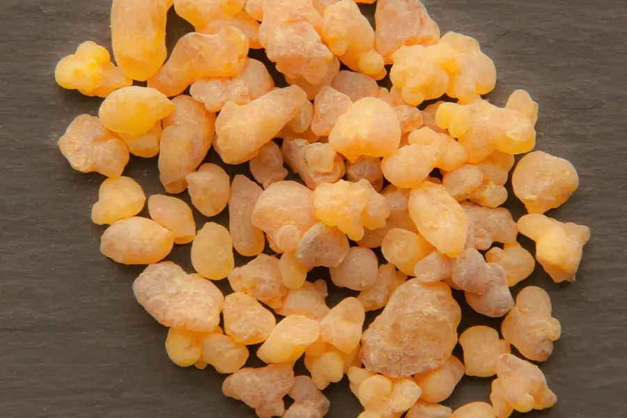 Boswellia Serrata
