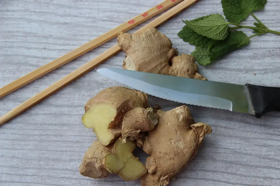 Discover the Amazing Health Benefits of Ginger Root!