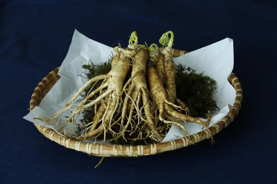 Red Ginseng and White Ginseng