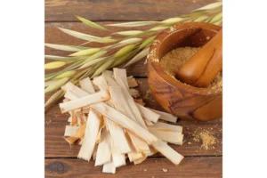 willow bark strips alongside willow branches